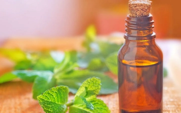 Evde Nane Yağı Nasıl Yapılır? Evde Nane Yağı Nasıl Yapılır?