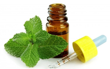 Nane Yağı Faydaları ve Kullanımı Nane Yağı Faydaları ve Kullanımı